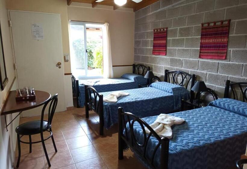 فندق صغير Vila Sornico