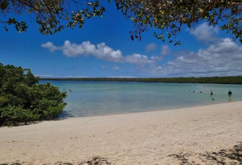 Patty House Galapagos