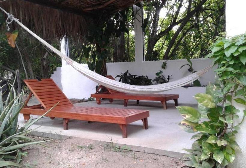 פנסיון Los Metates