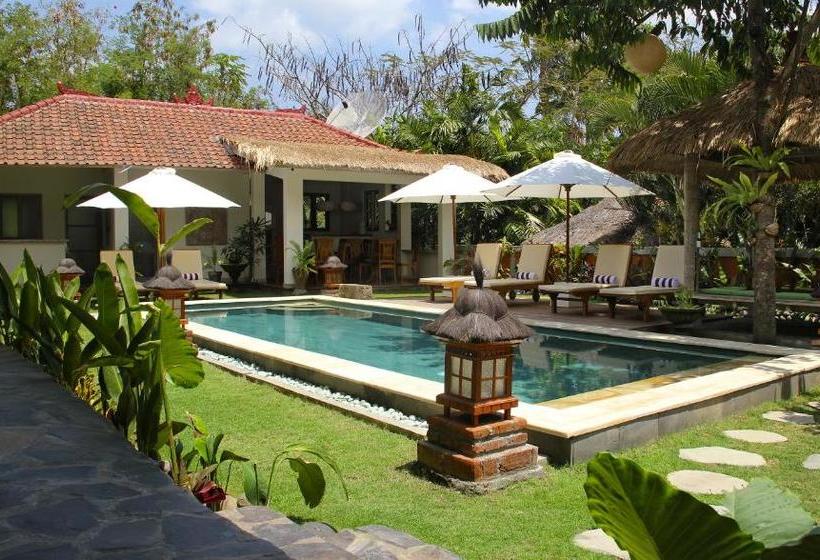 Pensjonat Papaya Guesthouse