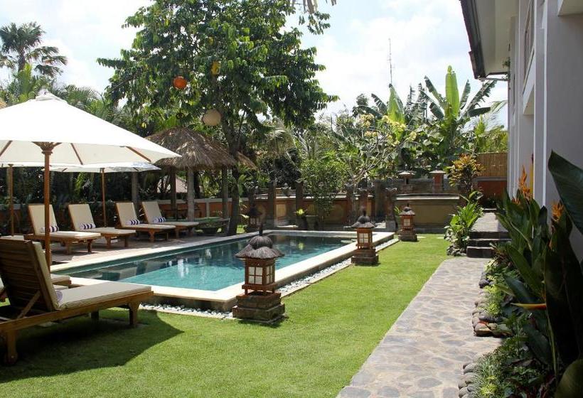 Pensjonat Papaya Guesthouse