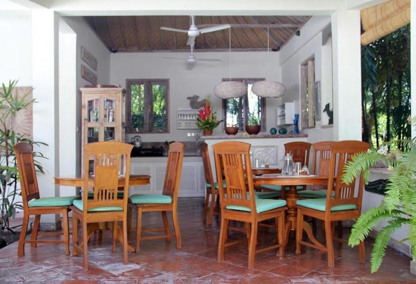 Pensjonat Papaya Guesthouse