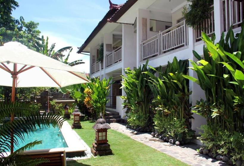 Pensjonat Papaya Guesthouse