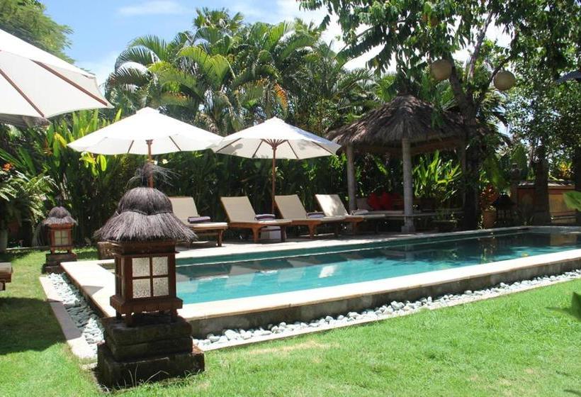 Pensjonat Papaya Guesthouse