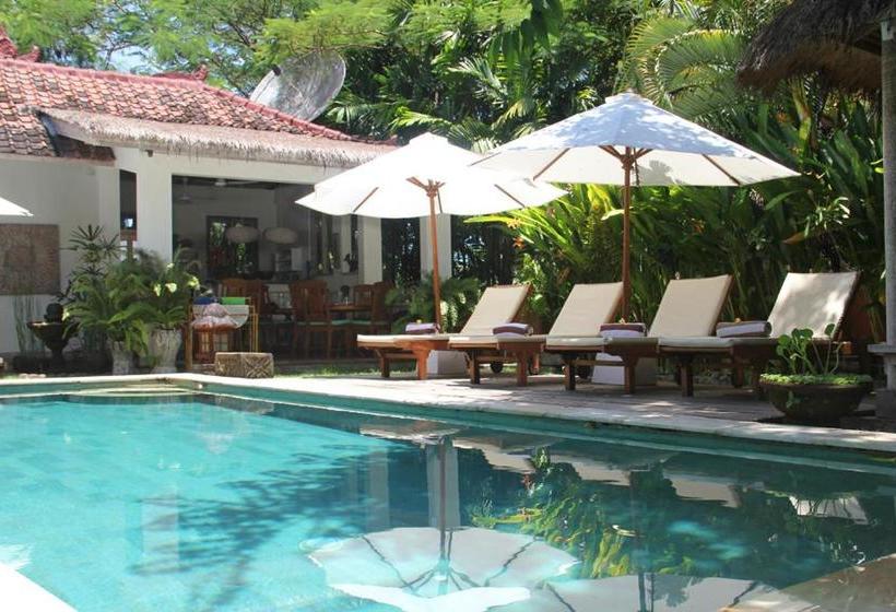 Pensjonat Papaya Guesthouse