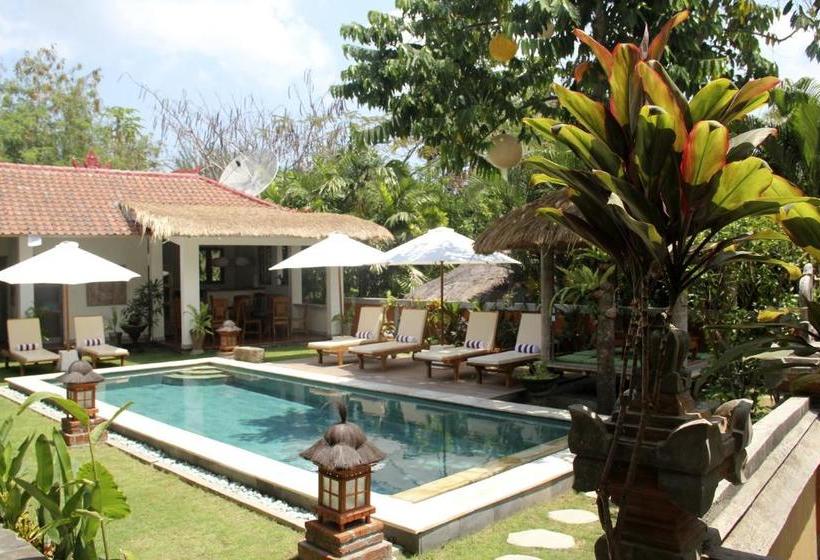 Pensjonat Papaya Guesthouse