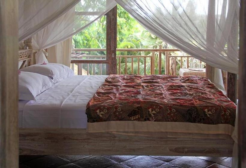 Pensjonat Papaya Guesthouse