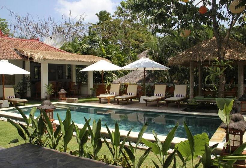 Pensjonat Papaya Guesthouse