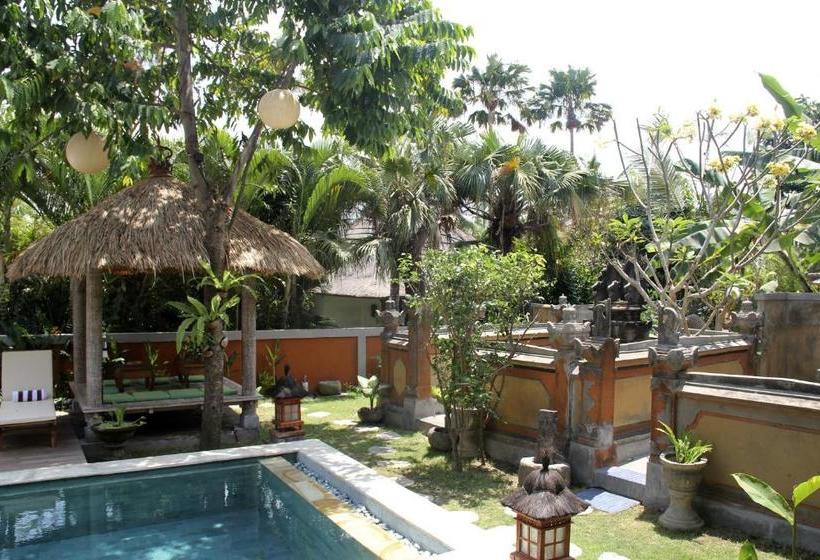 Pensjonat Papaya Guesthouse