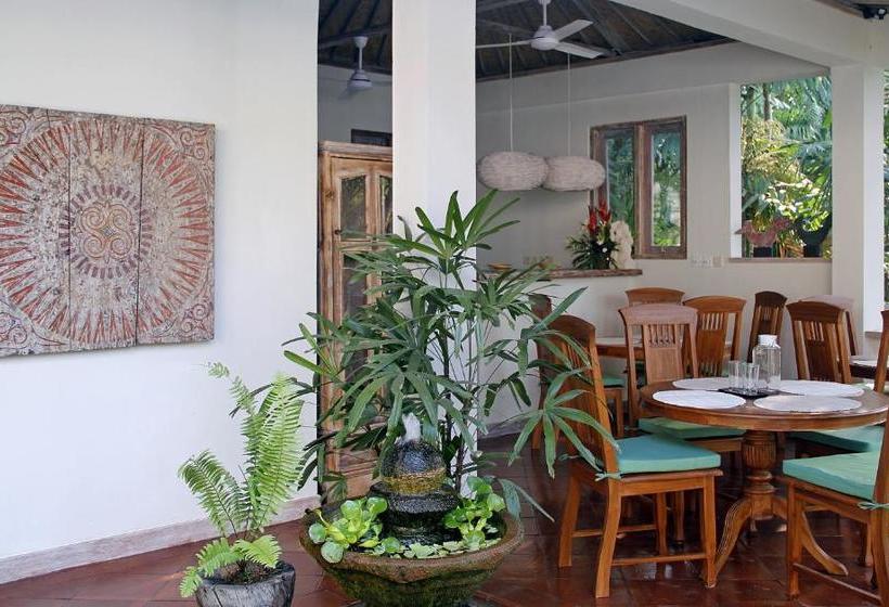 Pensjonat Papaya Guesthouse