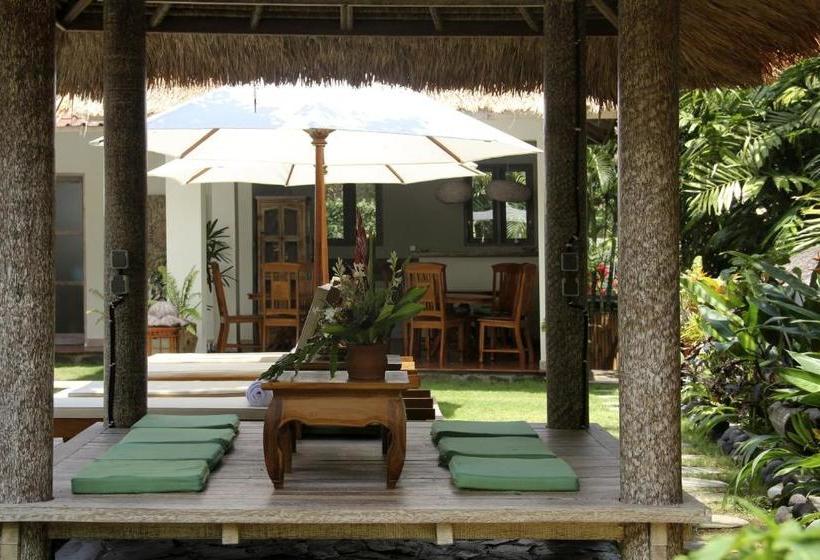 Pensjonat Papaya Guesthouse