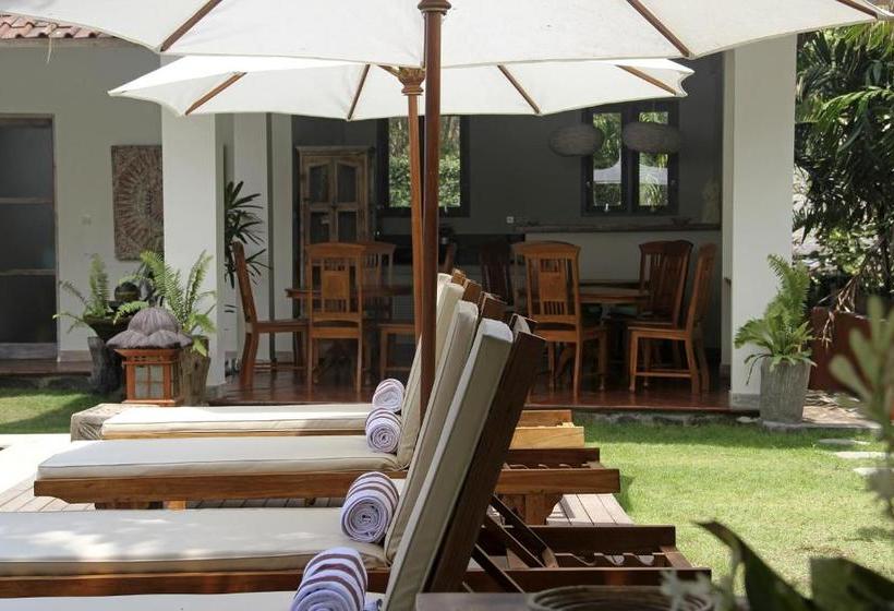 Pensjonat Papaya Guesthouse