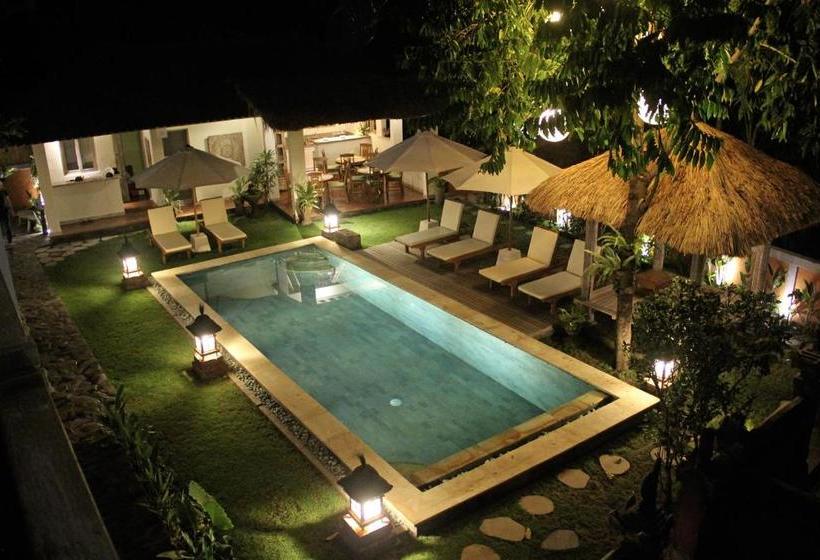 Pensjonat Papaya Guesthouse