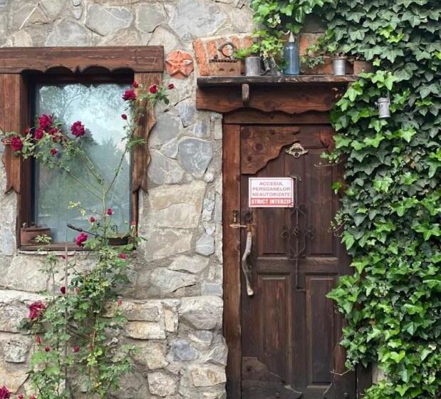 膳宿费 Predeal Club