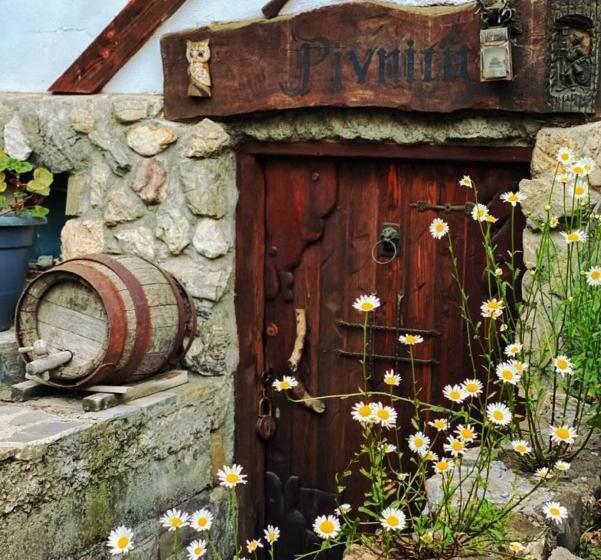 膳宿费 Predeal Club