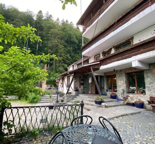 膳宿费 Predeal Club