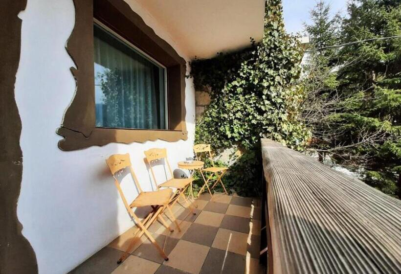 膳宿费 Predeal Club