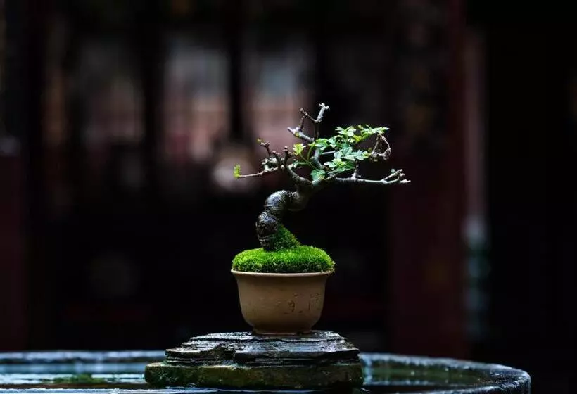 ペンション Xiamen Lanqin Gucuo Mansion