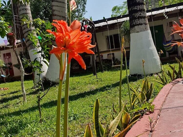 ユースホステル Villa Colibri Bacalar