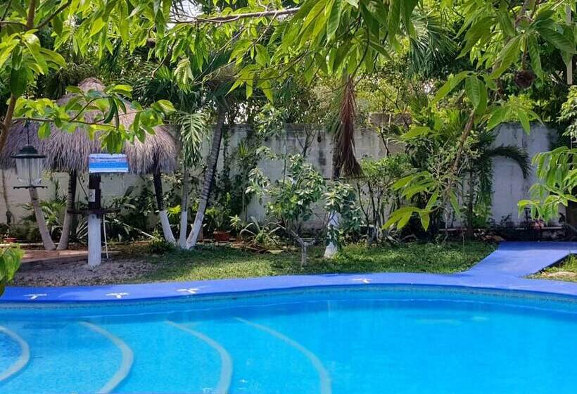 ユースホステル Villa Colibri Bacalar