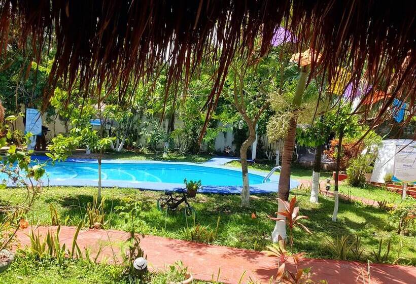 ユースホステル Villa Colibri Bacalar