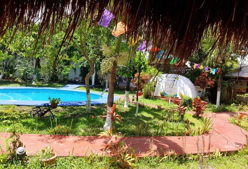 ユースホステル Villa Colibri Bacalar