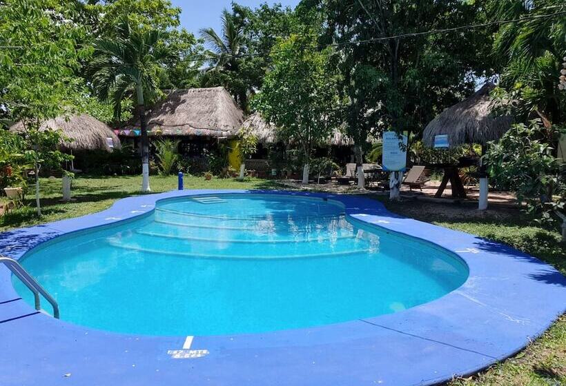 ユースホステル Villa Colibri Bacalar