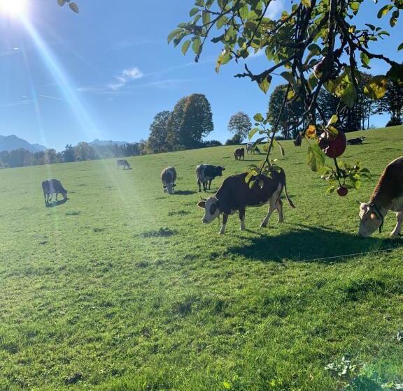 호텔 Altenhauser Hof