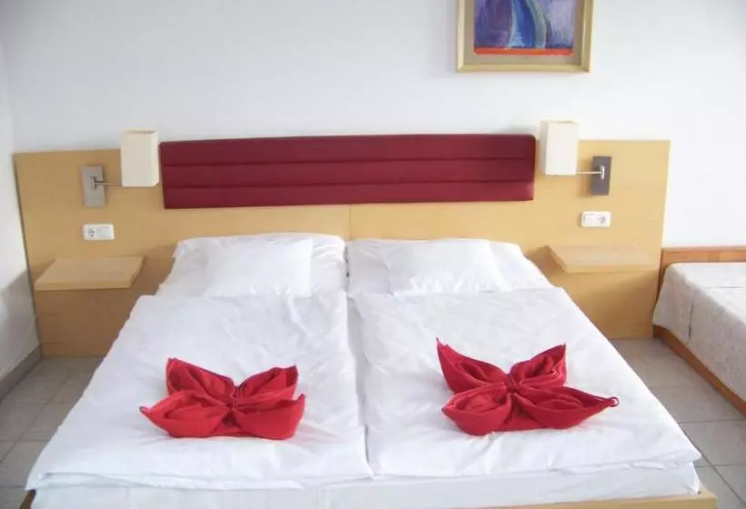 ペンション Alpesi Apartman Downtown