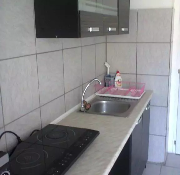 ペンション Alpesi Apartman Downtown