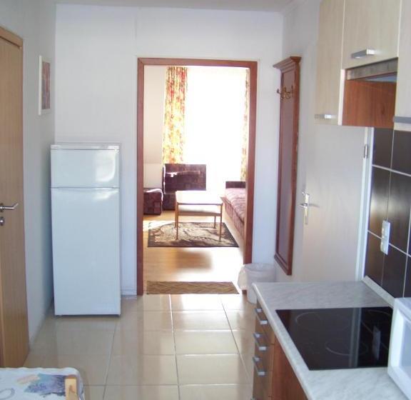 פנסיון Alpesi Apartman Downtown
