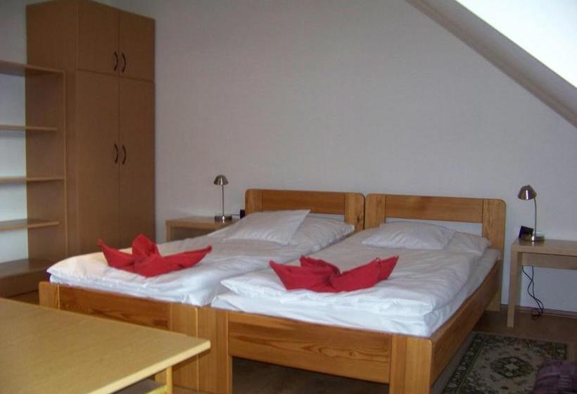 פנסיון Alpesi Apartman Downtown