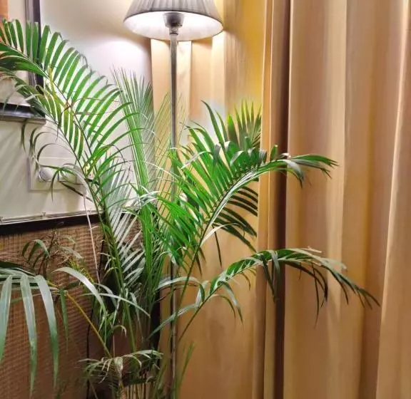 ペンション Bhambri Expo House