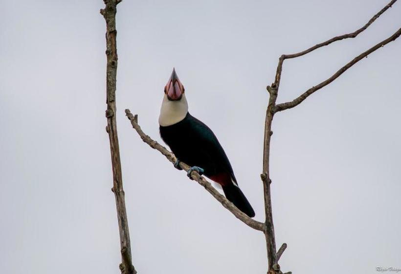 펜션 Pousada Marília De Dirceu