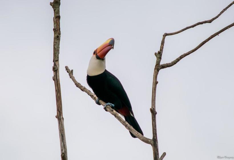 펜션 Pousada Marília De Dirceu