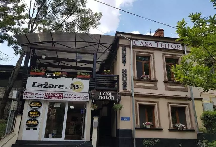 Pensjonat Casa Teilor