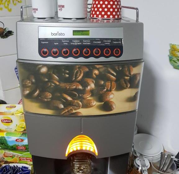 بنسيون Casa Teilor