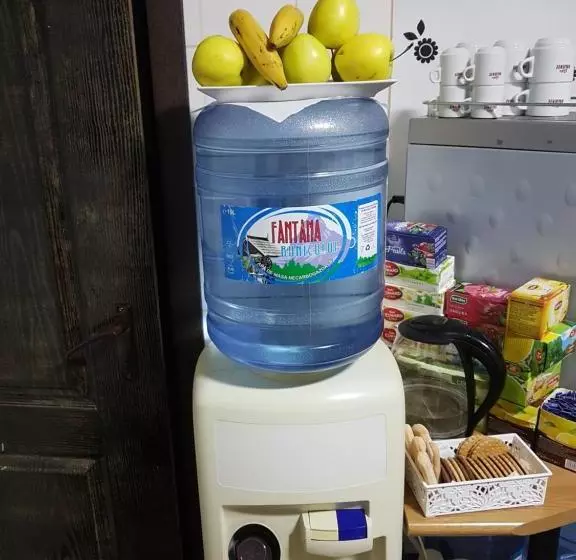 Pensjonat Casa Teilor