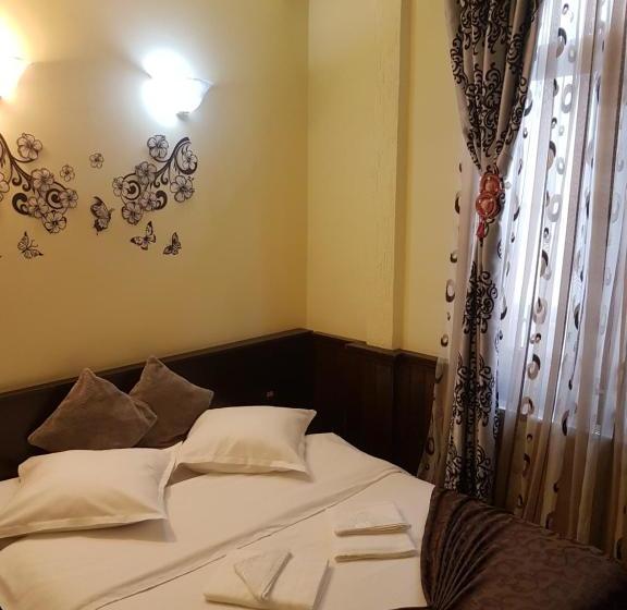 بنسيون Casa Teilor