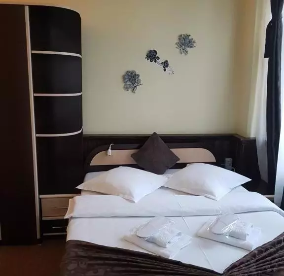Pensjonat Casa Teilor