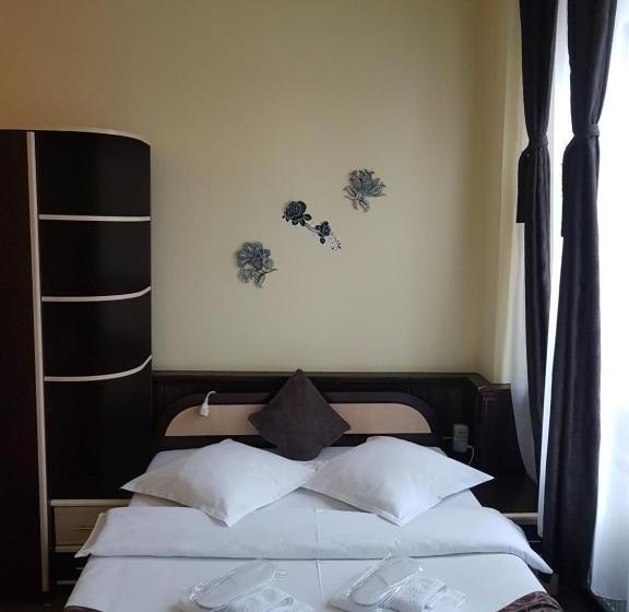 بنسيون Casa Teilor