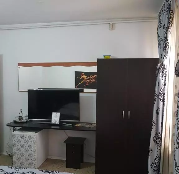 Pensjonat Casa Teilor