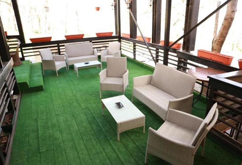 بنسيون Casa Teilor