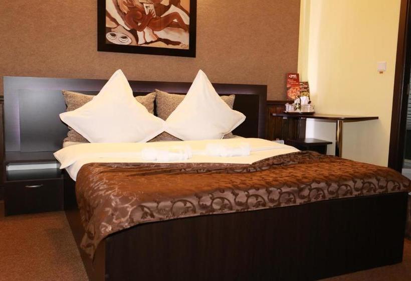 بنسيون Casa Teilor