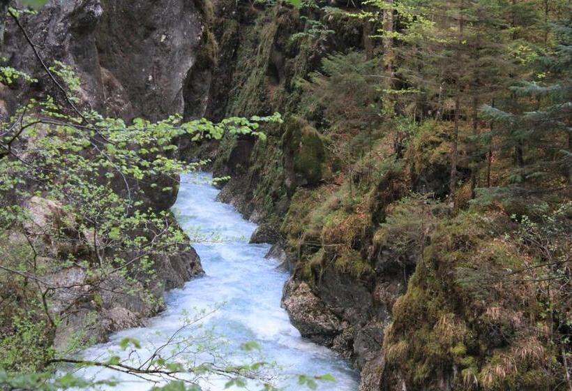 פנסיון Guest House Kraljev Hrib