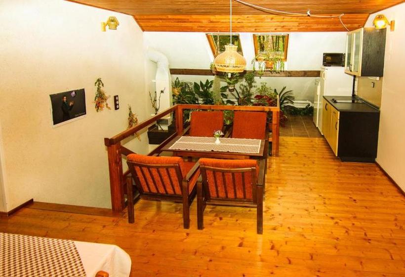 Majatalo Privát   Harrachov 392