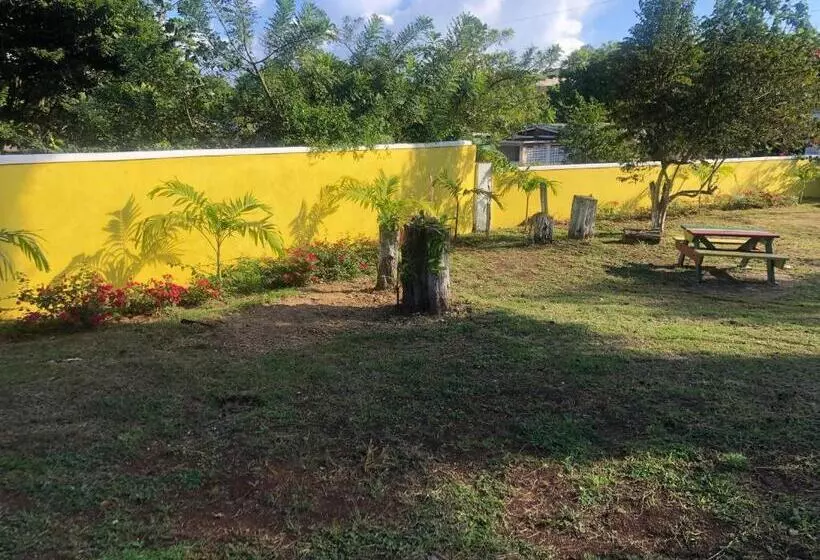 پانسیون Pura Vida Jamaica