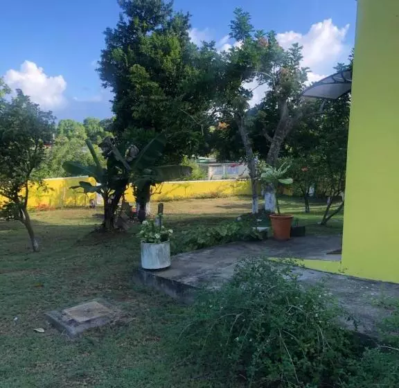 پانسیون Pura Vida Jamaica