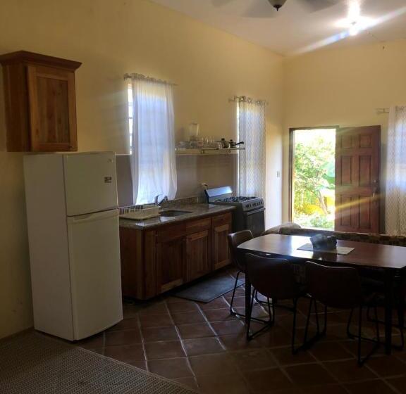 پانسیون Pura Vida Jamaica