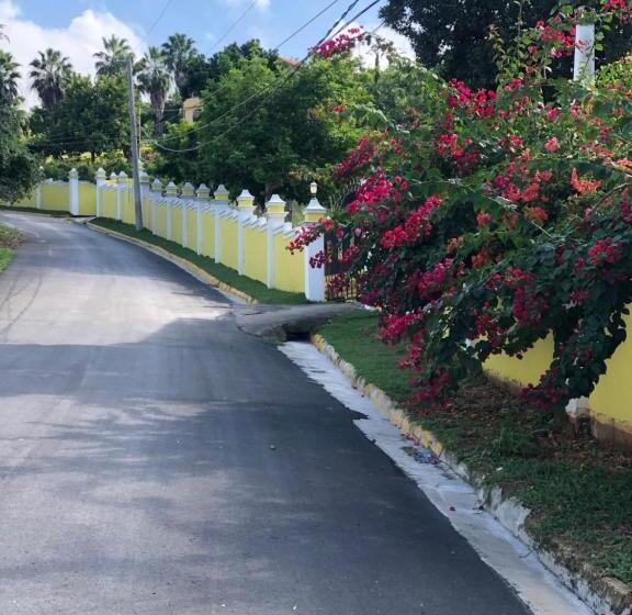 پانسیون Pura Vida Jamaica